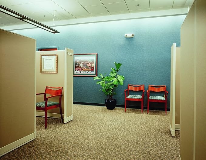 Lithonia Lighting Basics Low Profile Emergency Light, LED Emergency Lights for Business, Ceiling or Wall mount, White Thermoplastic, 120/277V Dual Voltage, Remote Capacity (EU2L REM M12)