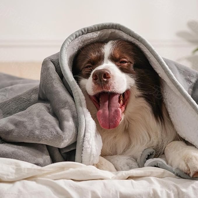 gogobunny Dog Blanket, Waterproof Reversible Sherpa Fleece Throw Blanket, Furniture Cover for Bed, Couch, Sofa Protection from Liquid Pee and Pet Fur of Puppy, Cat (Grey, 30x70 inches)