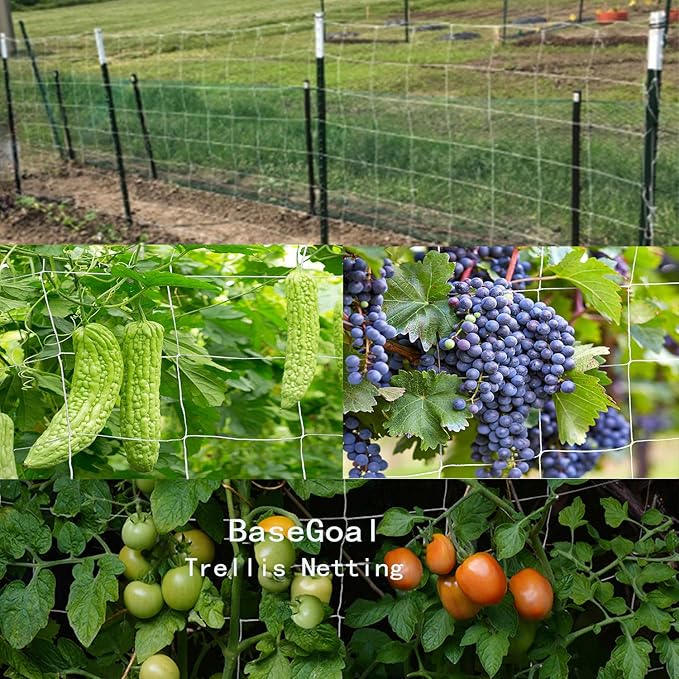 All-Weather Trellis Netting Mesh Plant Garden Vine Growing Flexible String Net (6" Mesh ployester, 5' Wx 60'L)