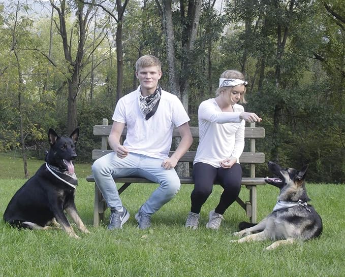 $averPak Pets - InsectGuard Permethrin Treated Mosquitoes, Flies, Ticks & More Insect Repellent Dog Bandanna Paisley (Burgundy)