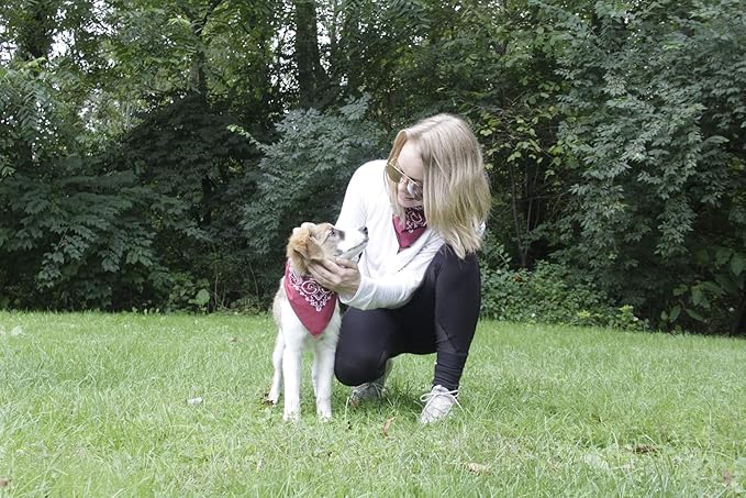 $averPak Pets - InsectGuard Permethrin Treated Mosquitoes, Flies, Ticks & More Insect Repellent Dog Bandanna Paisley (Beige)