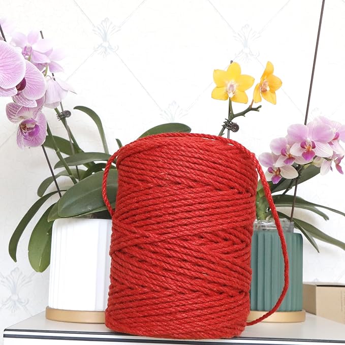 4mm x 100 Feet Red Jute Rope, Twine for Gardening Tomato Climbing Plant Tie Floristry Crafts Gift Wrapping Packing Decor