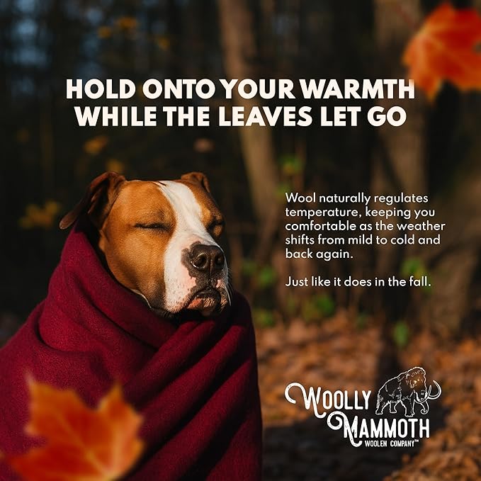 Woolly Mammoth Woolen Company Merino Wool Camping Blanket - 66 x 90 in - Navy Blue - Heavyweight Insulated Outdoor Throw Blanket for Camping & Hiking & Backpacking