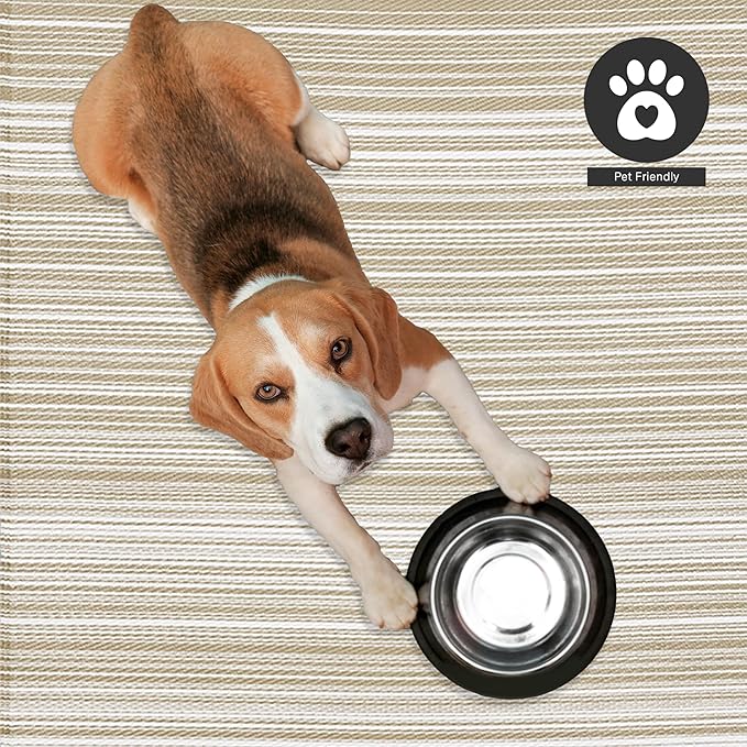 FH Home Outdoor Camping Rug - Waterproof, Fade Resistant, Reversible - Premium Recycled Plastic - Striped - Large Patio, Deck, Sunroom, RV - Havana - Beige - 4 x 6 ft Foldable