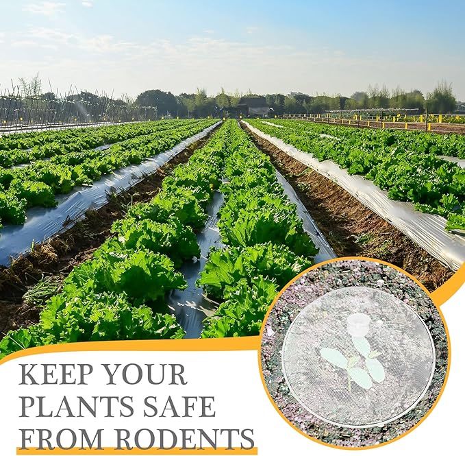 Gerrii 6 Pcs Metal Mesh Food Cover Outdoor Mesh Food Tents Dome Screen Plate Covers for Dinner Plates Reusable Fruit Fly Nets Picnic Umbrella for Table, BBQ, Camping, Party (White,14 Inch)