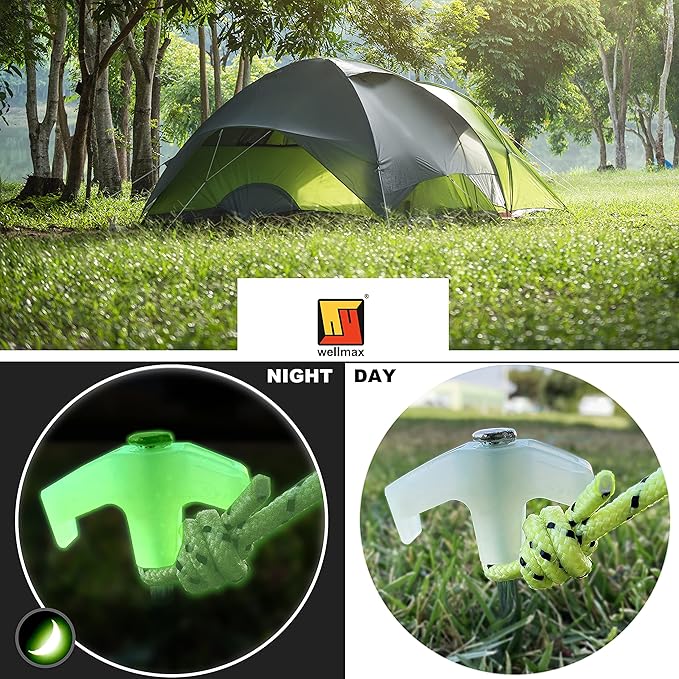 Wellmax 10PC Tent Stakes Heavy Duty with 2 Pack Glow in Dark Polypropylene Rope 3/16" x50ft and 1/4" x50ft