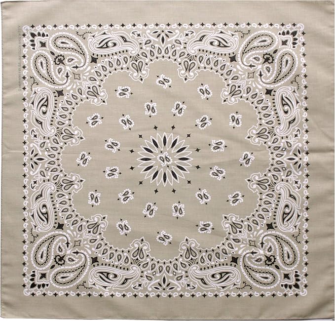 $averPak Pets - InsectGuard Permethrin Treated Mosquitoes, Flies, Ticks & More Insect Repellent Dog Bandanna Paisley (Beige)