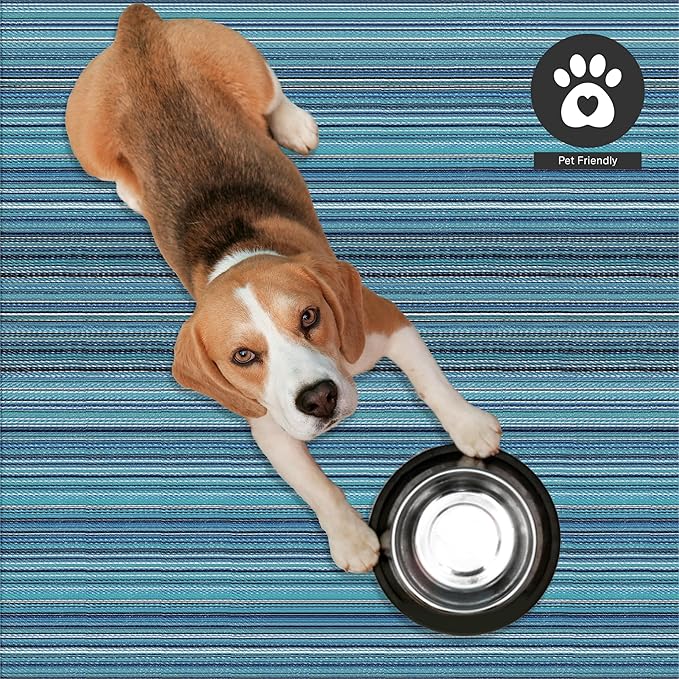 FH Home Outdoor Rug - Waterproof, Fade Resistant, Reversible - Premium Recycled Plastic - Striped - Patio, Deck, Porch, Balcony - Havana - Turquoise Crease Free - 5 x 8 ft